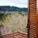 Traditional Cozy In Lafkos, Pelion * Lafkos