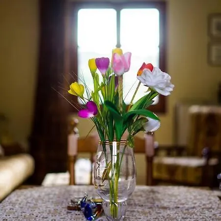 Traditional Cozy In Lafkos, Pelion * Lavkos