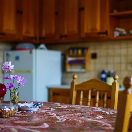 Traditional Cozy In Lafkos, Pelion Apartament Lafkos